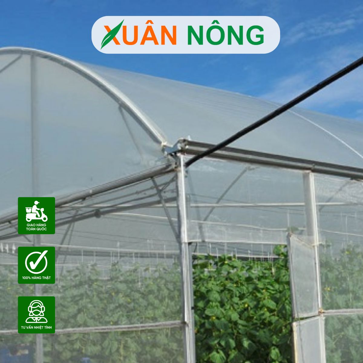 NHÀ MÀNG NÔNG NGHIỆP LÀ GÌ? CÓ NÊN ĐẦU TƯ NHÀ MÀNG TRỒNG RAU KHÔNG?