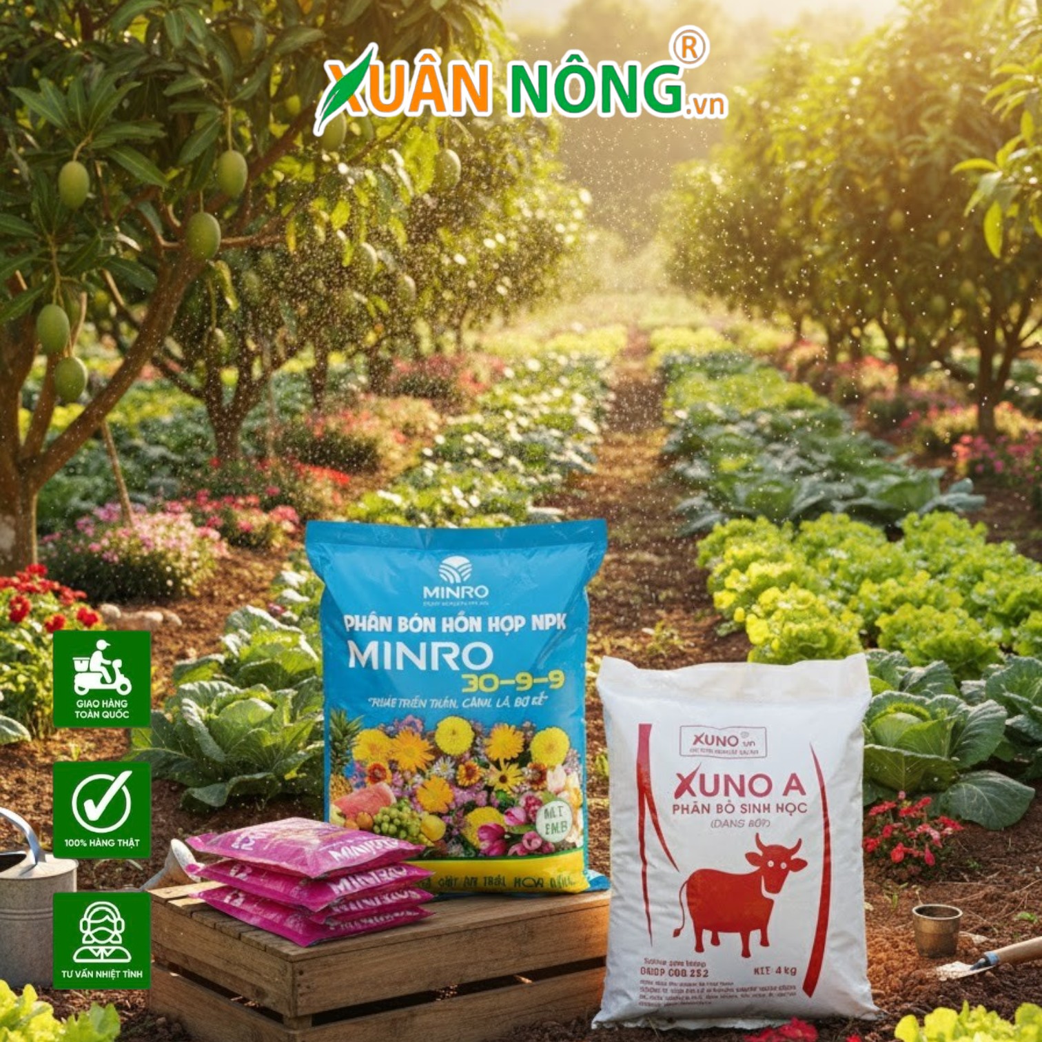 Bí Quyết Cho Cây Ăn Trái 'Ngậm' Phân Bón Hiệu Quả Nhất