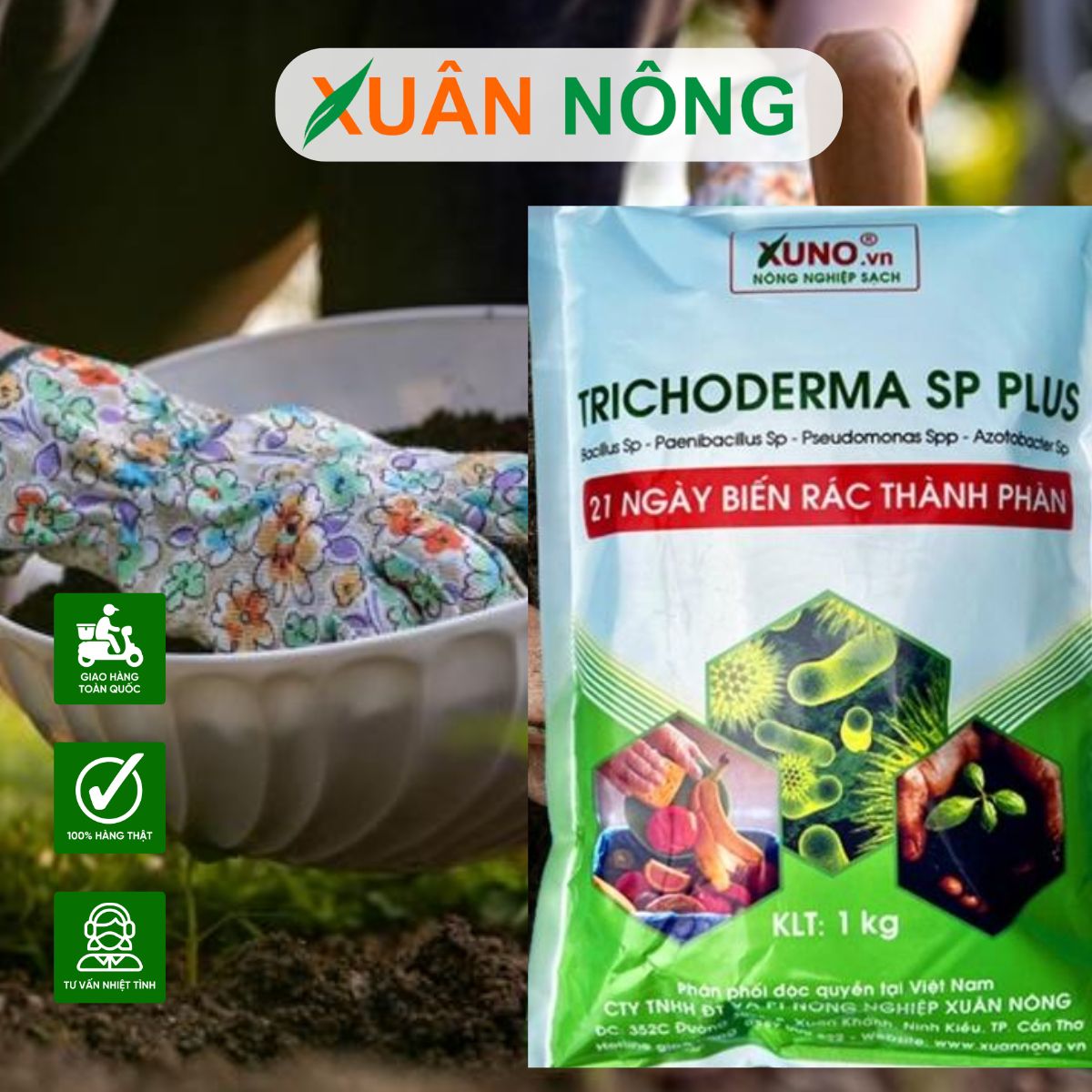 QUY TRÌNH XỬ LÝ ĐẤT BẰNG NẤM TRICHODERMA TRƯỚC KHI TRỒNG CÂY