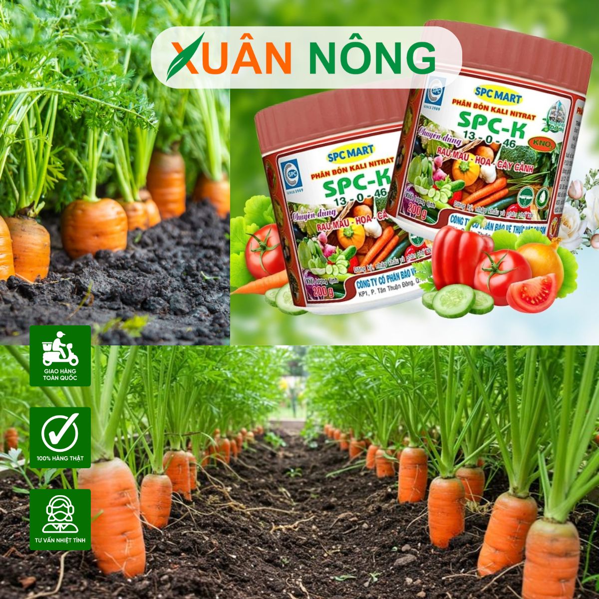 CÁCH CHỌN PHÂN BÓN HỮU CƠ PHÙ HỢP VỚI ĐẤT VÀ CÂY TRỒNG