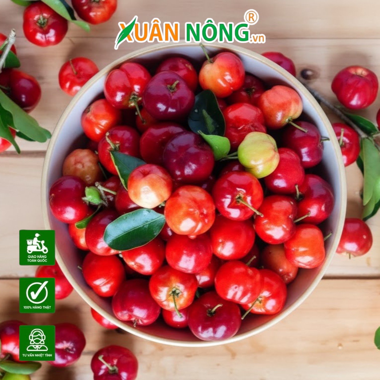 Cây Giống Sơ Ri Thái Siêu Trái Mang Lại Lợi Nhuận Kinh Tế Bền Vững Cho Nhà Vườn Miền Tây