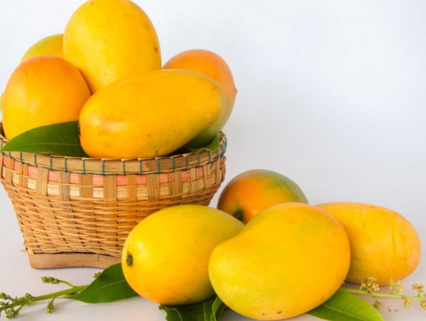 CÁC GIỐNG XOÀI PHỔ BIẾN Ở VIỆT NAM