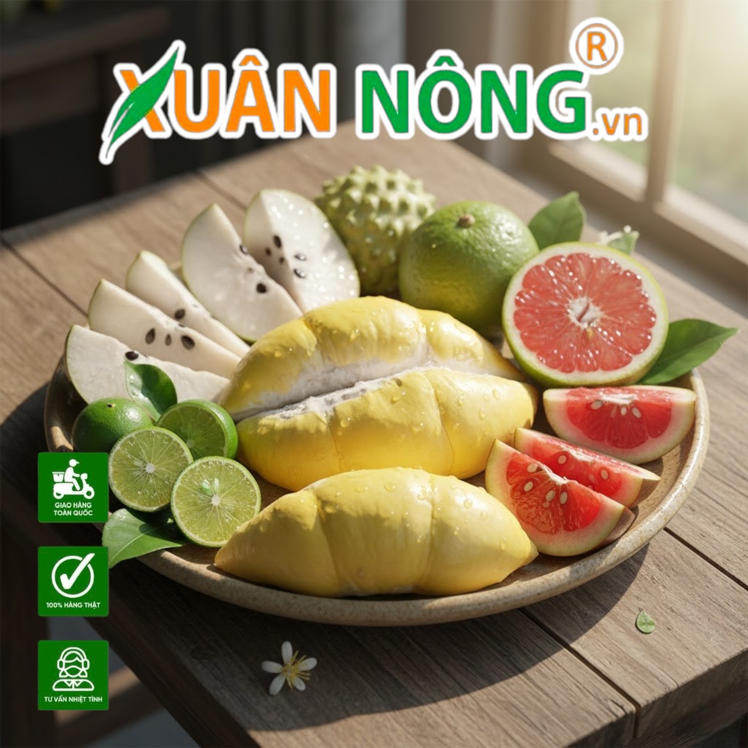 Khởi Nghiệp Với 1 Công Đất: Mô Hình Trồng Cây Ăn Trái Nào Cho Thu Nhập Cao Nhất?