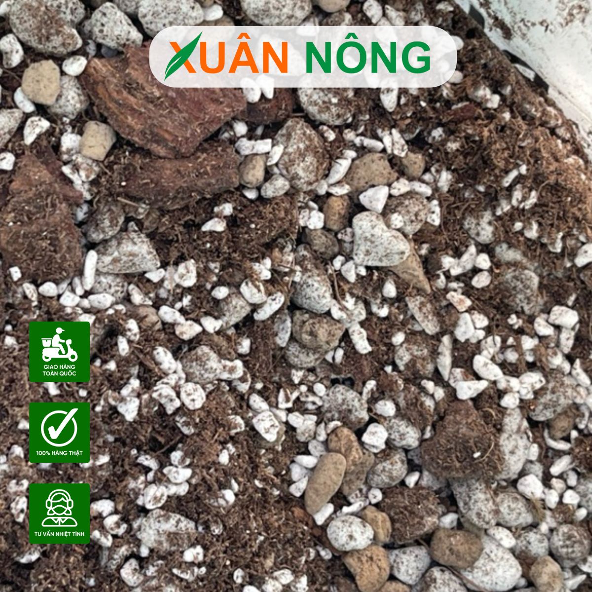 GIÁ THỂ TRỒNG CÂY LÀ GÌ? TẠI SAO NÊN DÙNG GIÁ THỂ ĐỂ TRỒNG CÂY