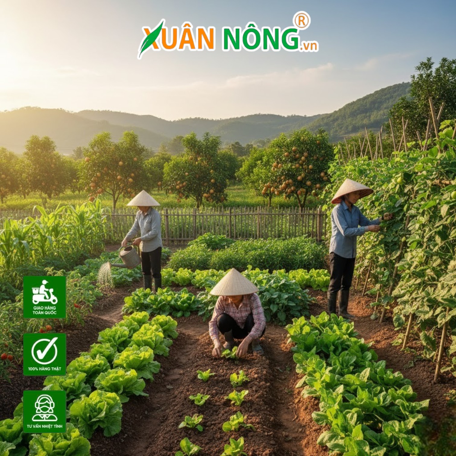 Những 'Trợ Thủ' Không Thể Thiếu Giúp Việc Trồng Trọt Trở Nên Nhẹ Nhàng