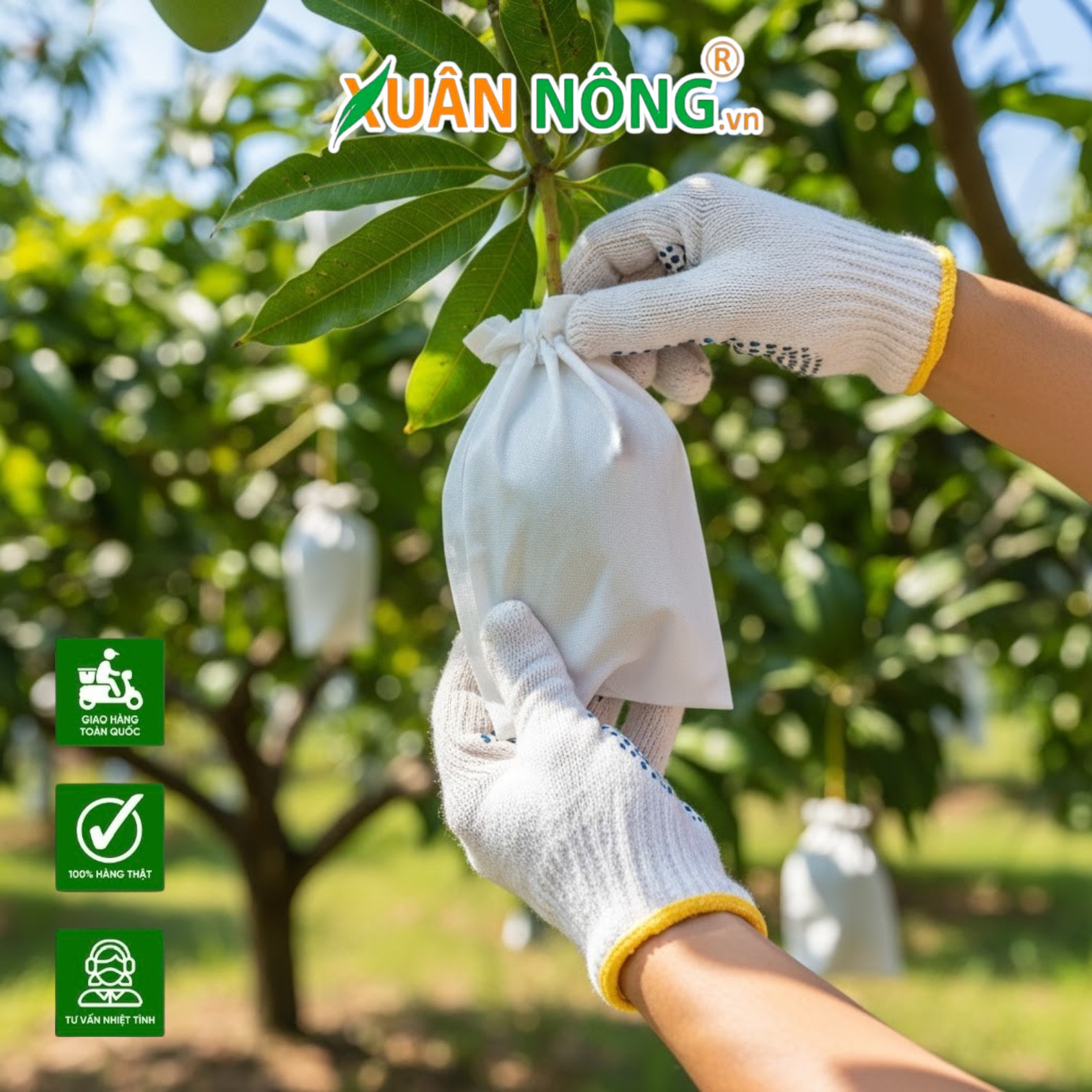 Xu Hướng Dùng Túi Vải Bao Trái Thay Thế Túi Nilon Để Bảo Vệ Môi Trường Và Nâng Cao Giá Trị Nông Sản