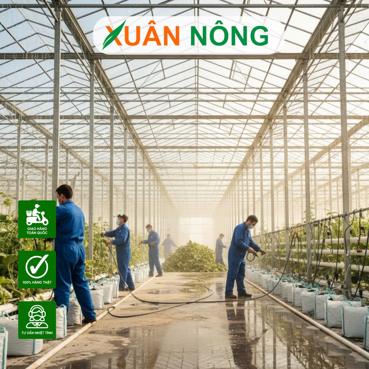 NHÀ MÀNG TRỒNG DƯA LƯỚI - BẢO TRÌ VÀ VỆ SINH SAU MỖI VỤ MÙA