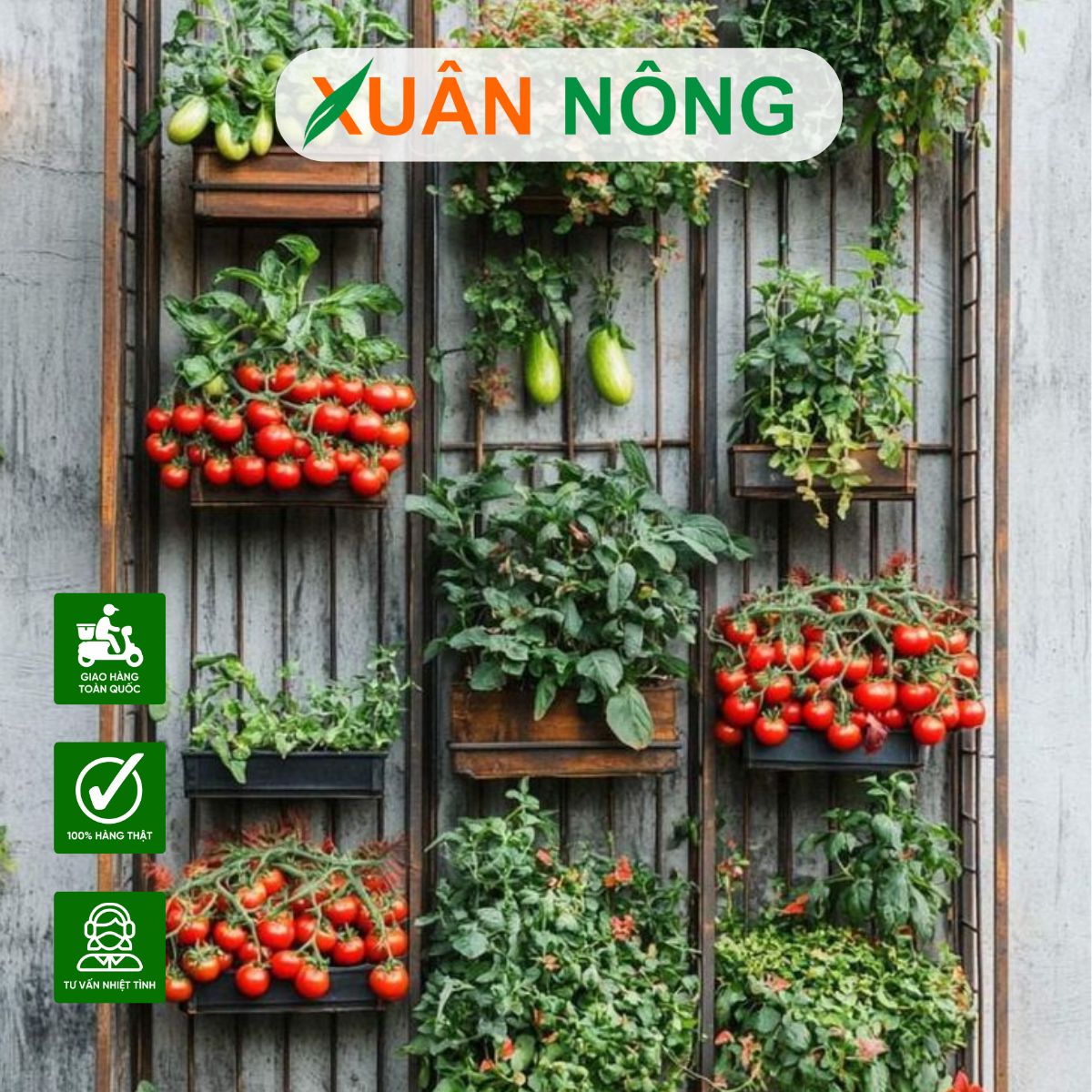 CÁCH LÀM VƯỜN TRÊN SÂN THƯỢNG CHỈ VỚI 7 BƯỚC ĐƠN GIẢN