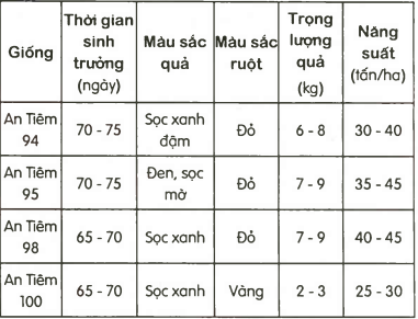 caygiongcantho.vn