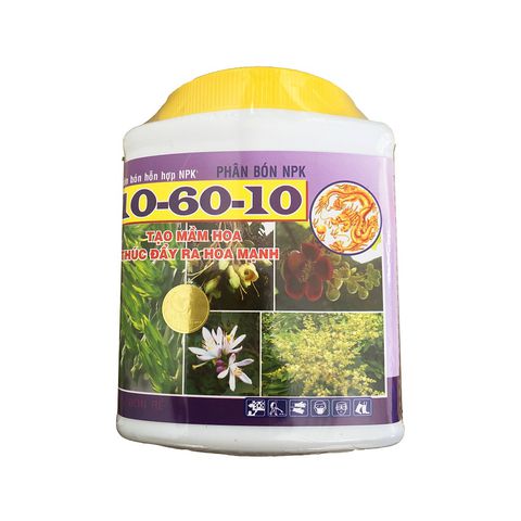 cây giống cần thơ