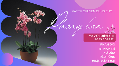 VẬT TƯ TRỒNG LAN