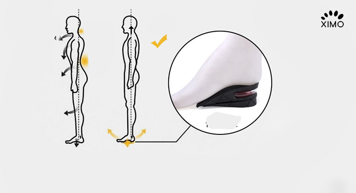 Lót giày tăng chiều cao tại Hà Nội chính hãng