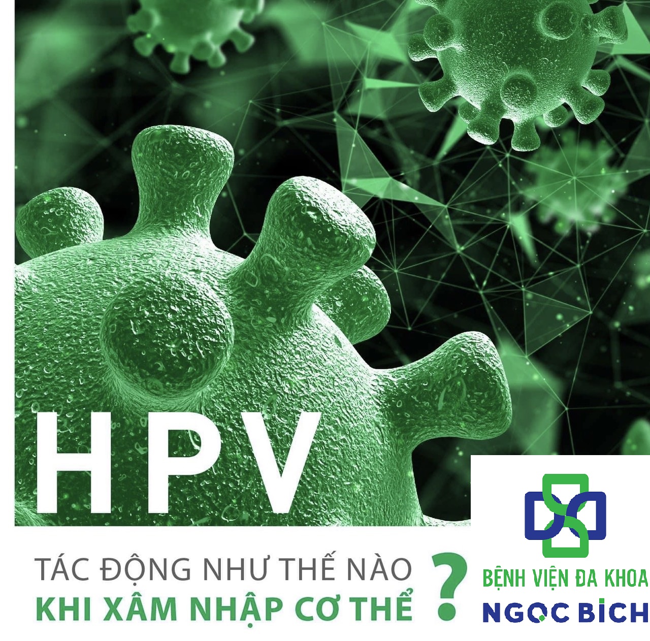 🦠 HPV tác động như thế nào khi xâm nhập cơ thể con người ?