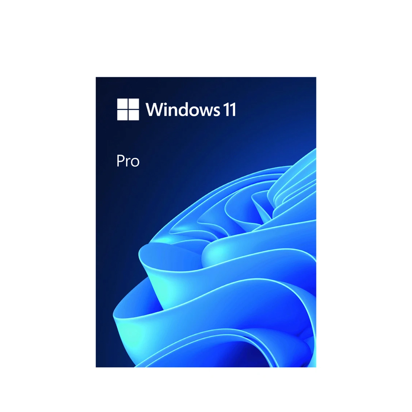 HỆ ĐIỀU HÀNH WINDOWS 11 PRO FPP 64-BIT ENG INTL USB (HAV-00163) - cao cấp - sd vĩnh viễn