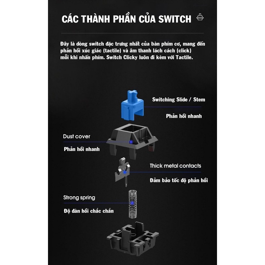 Bàn phím cơ Panstan Pk200 dòng Blue switch Led đổi màu chuyên Game