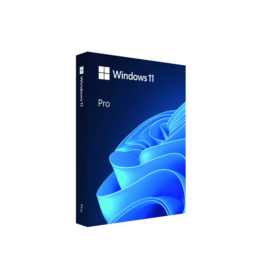 HỆ ĐIỀU HÀNH WINDOWS 11 PRO FPP 64-BIT ENG INTL USB (HAV-00163) - cao cấp - sd vĩnh viễn
