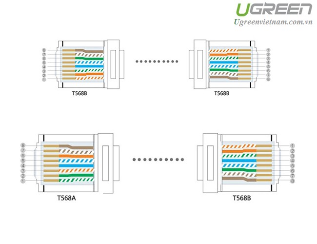 Đầu bấm mạng RJ45 cat 5e 50c/hộp chính hãng Ugreen 20331 cao cấp