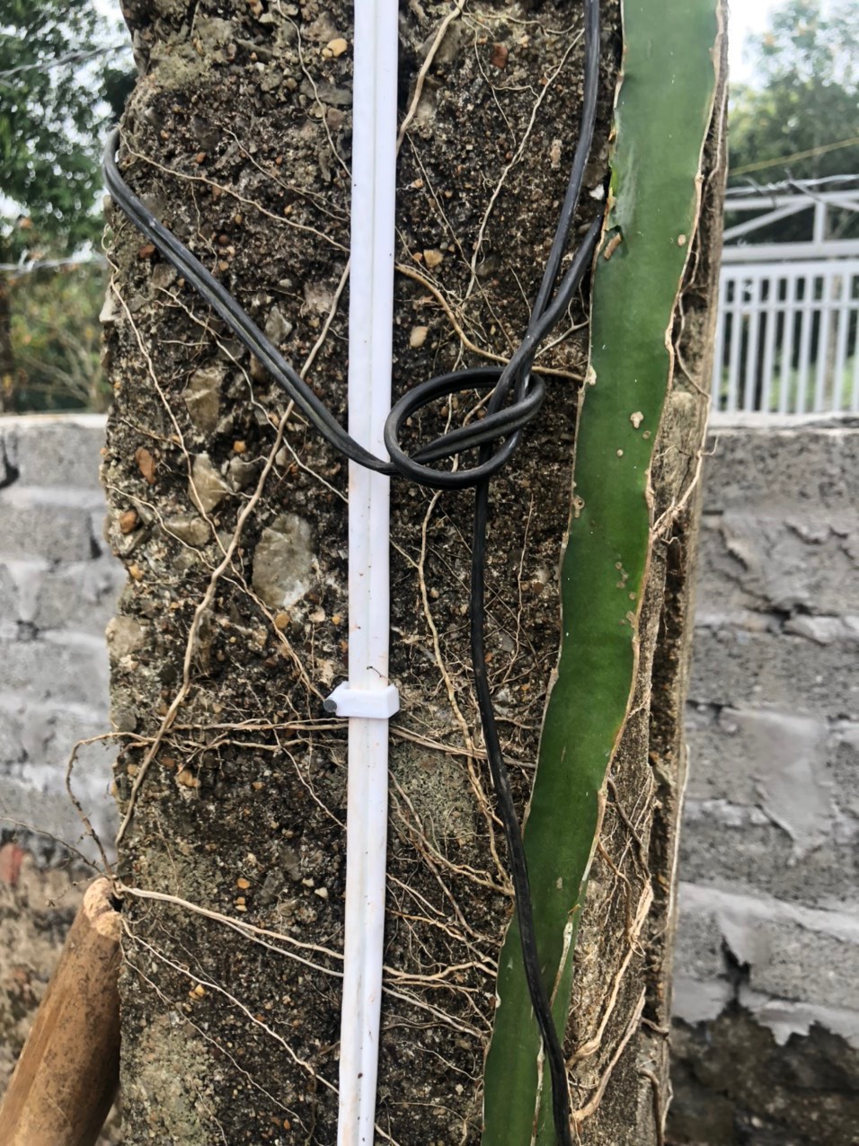 Nẹp Dây Điện F12 - Đinh Ghim Dây Điện, Dây Liền Nguồn (Túi 100 Cái)