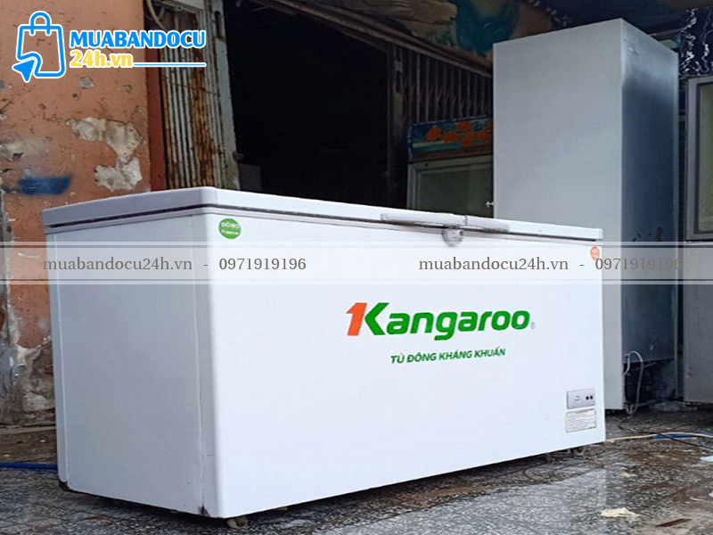 CÁC TIÊU CHÍ LỰA CHỌN TỦ ĐÔNG CŨ TẠI HÀ NỘI CHẤT LƯỢNG NHẤT