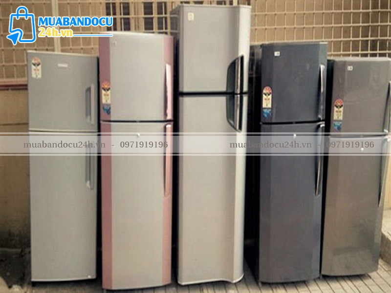 CÓ NÊN LỰA CHỌN TỦ ĐÔNG DẠNG ĐỨNG CŨ CHO HOẠT ĐỘNG KINH DOANH HAY KHÔNG