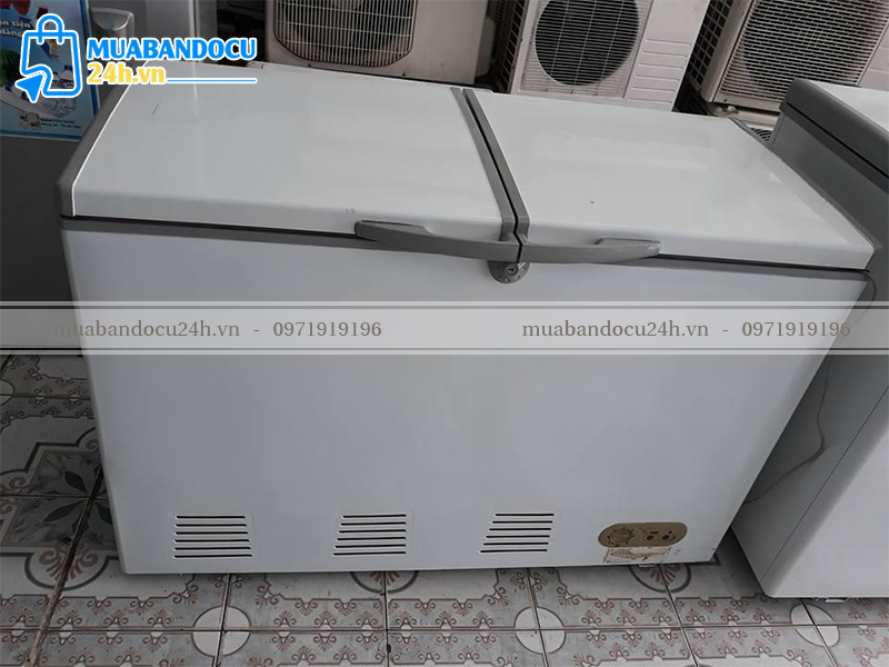 Tủ đông cũ 2 cánh