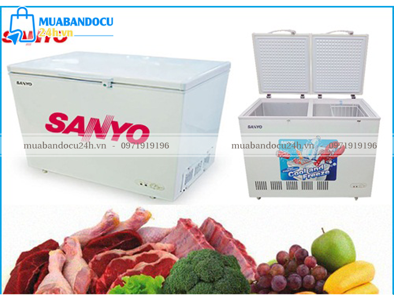 tủ đông lạnh cũ điện máy xanh
