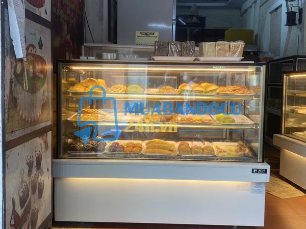 TỦ BÁNH SINH NHẬT RUEYSHING RS-C1005S3 THANH LÝ