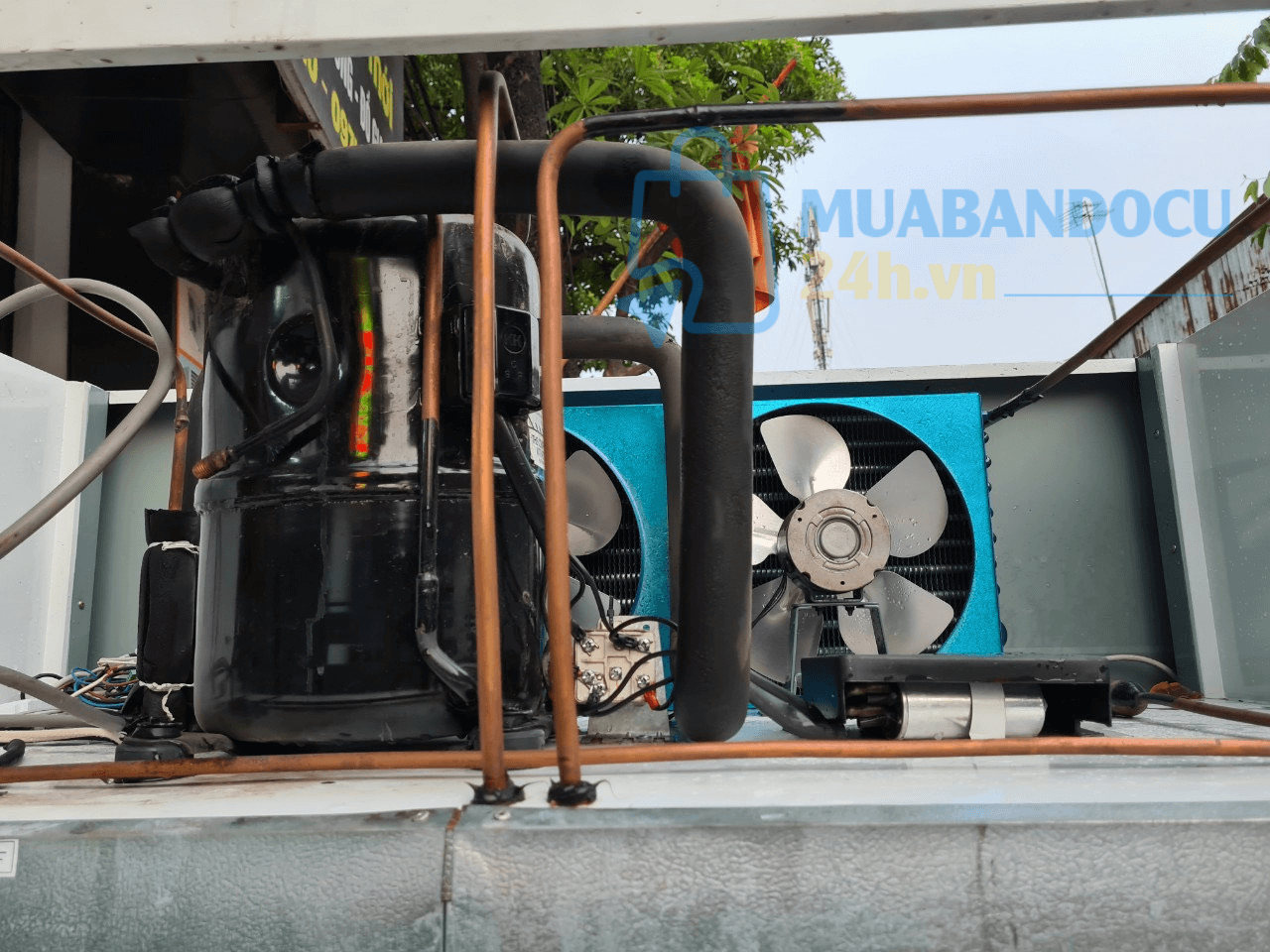 Tủ đông đứng Okiwi 1180 lít NB-1280FD – Hàng chính hãng