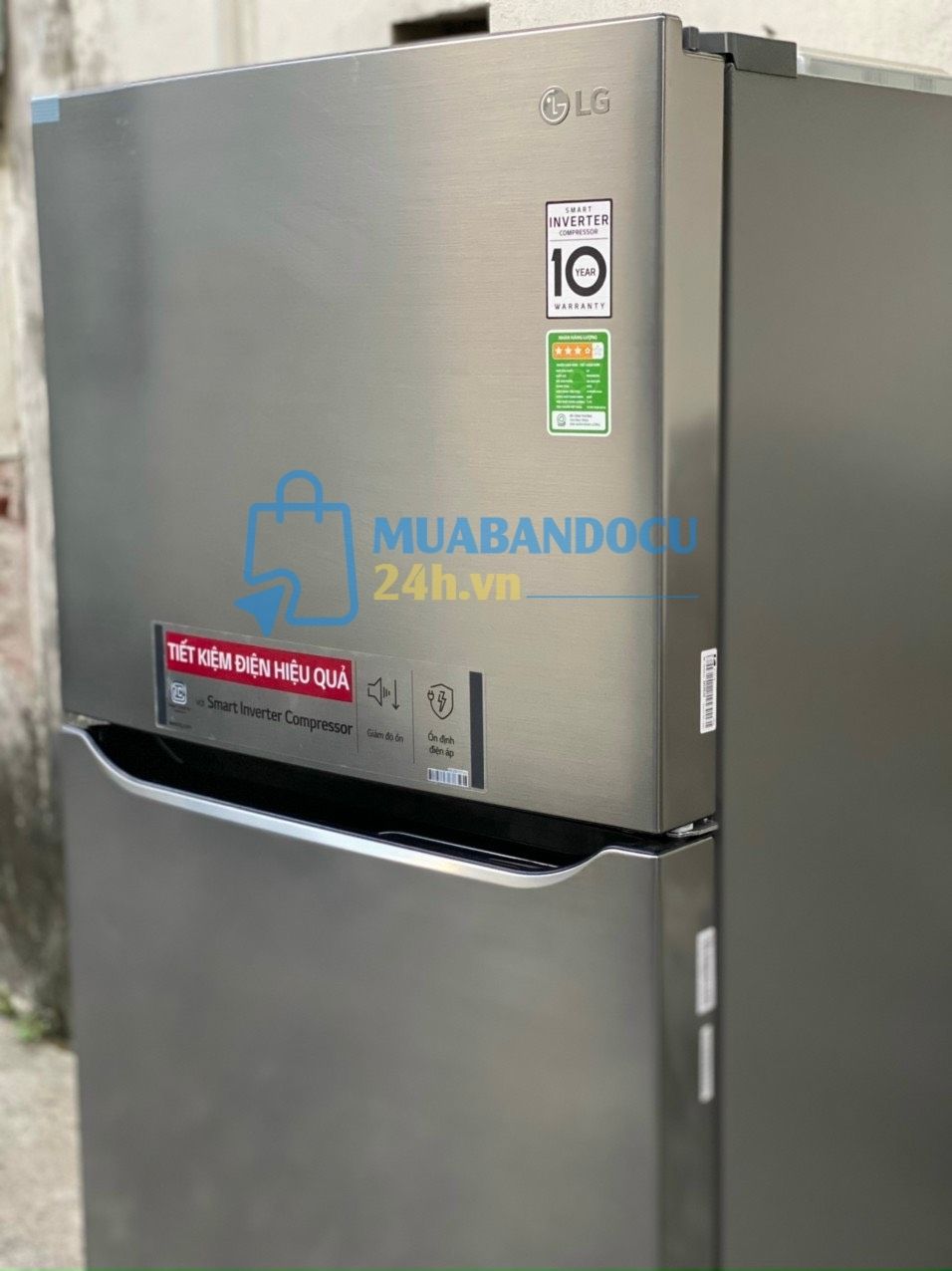 Tủ lạnh LG 250 lít Inverter đời 2020