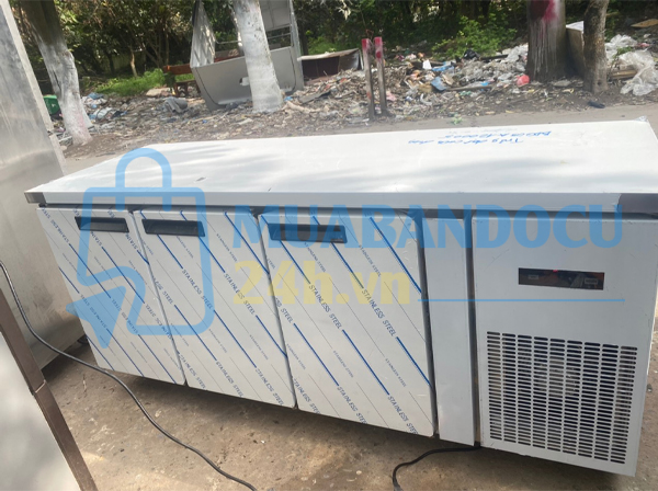 Tủ Bàn Đông Inox Đức Minh 500L- NEW 99%