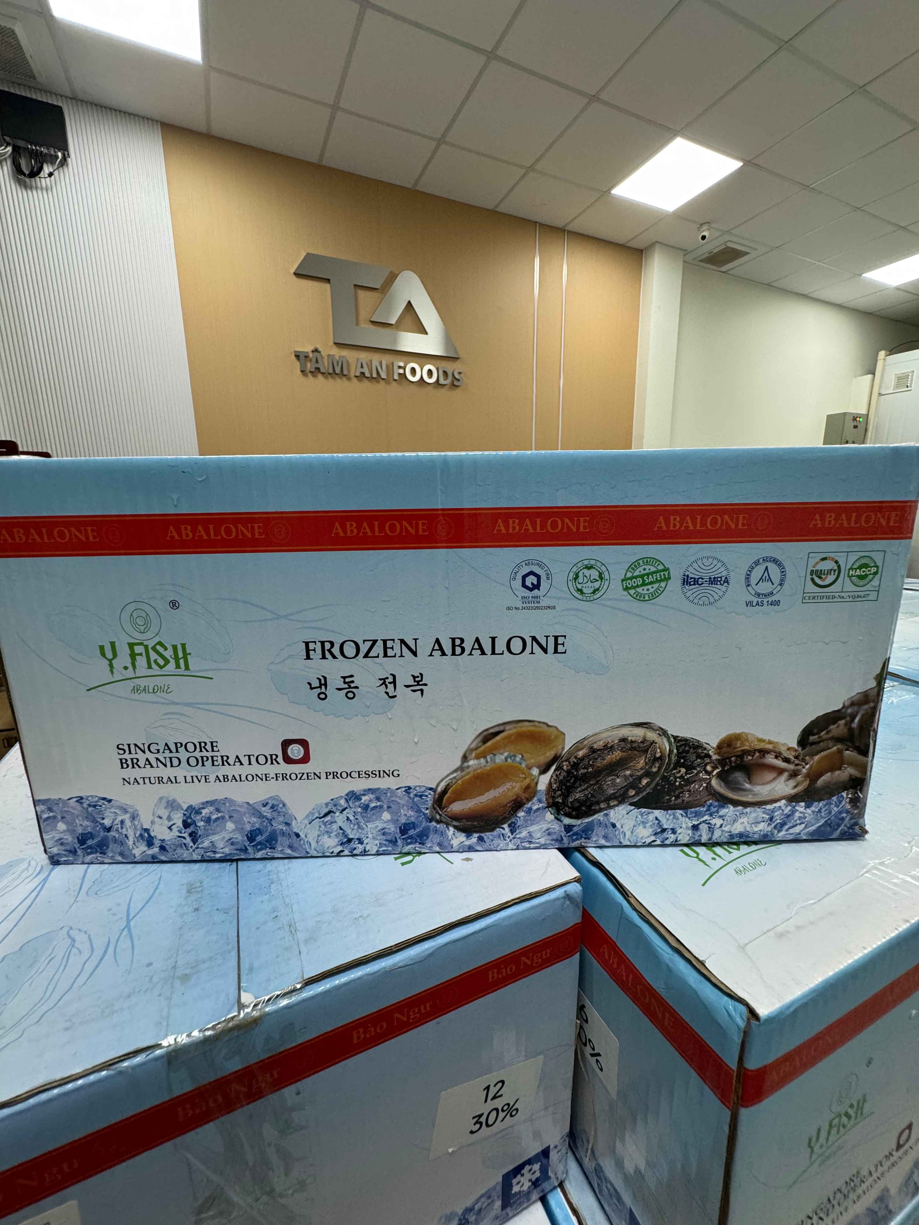 Mua bào ngư đông lanh ở đâu uy tín chất lượng