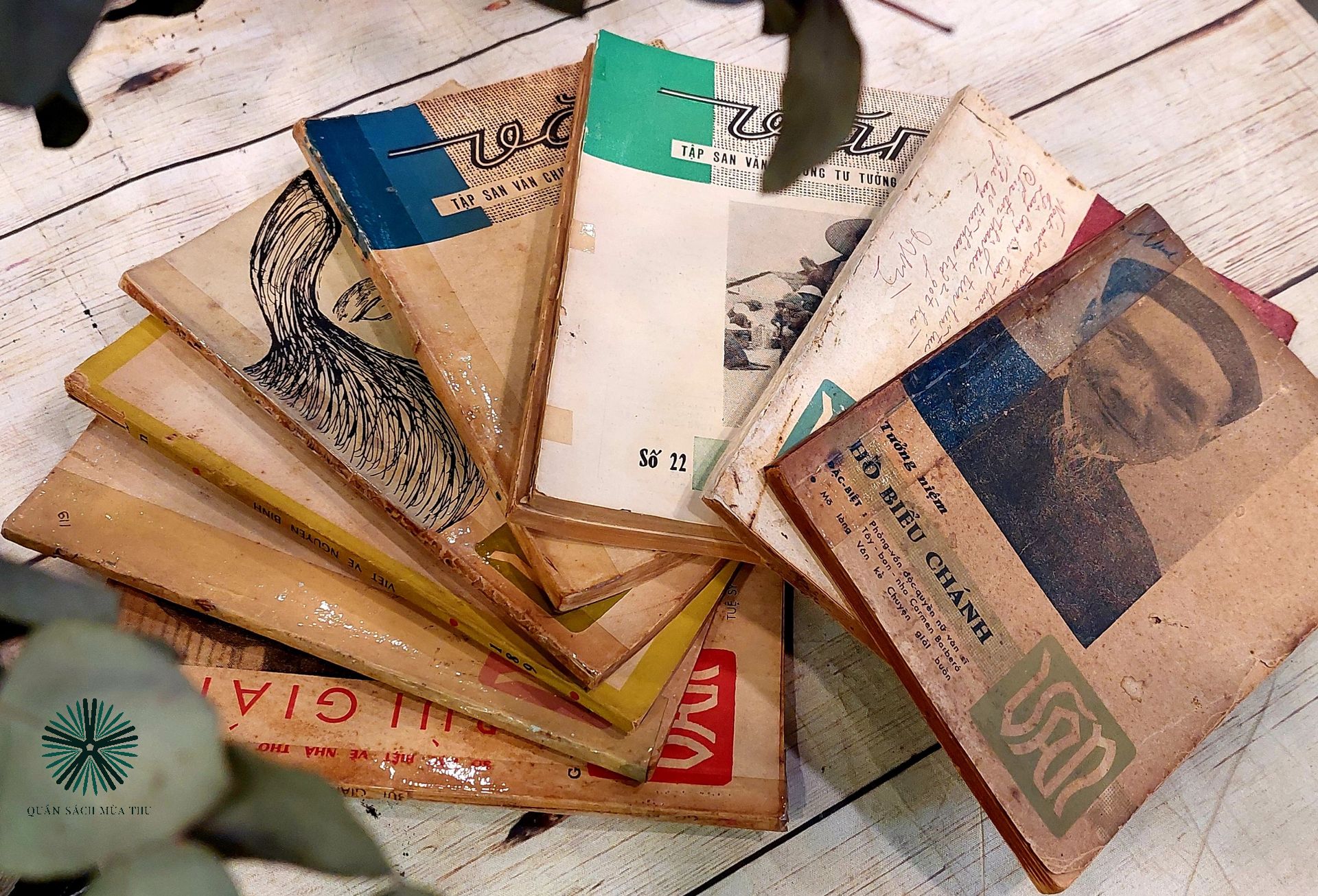 TẠP CHÍ VĂN - NGUYỄN ĐÌNH VƯỢNG