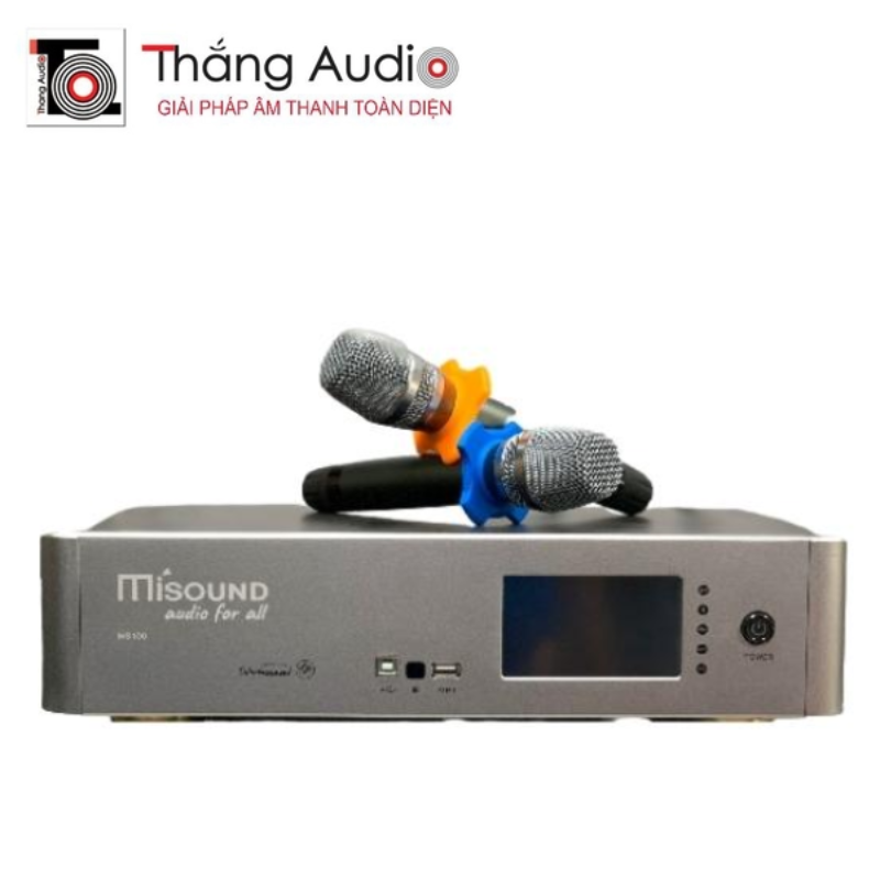 POWER AMPLIFIER (ALL IN ONE) MISOUND MS100