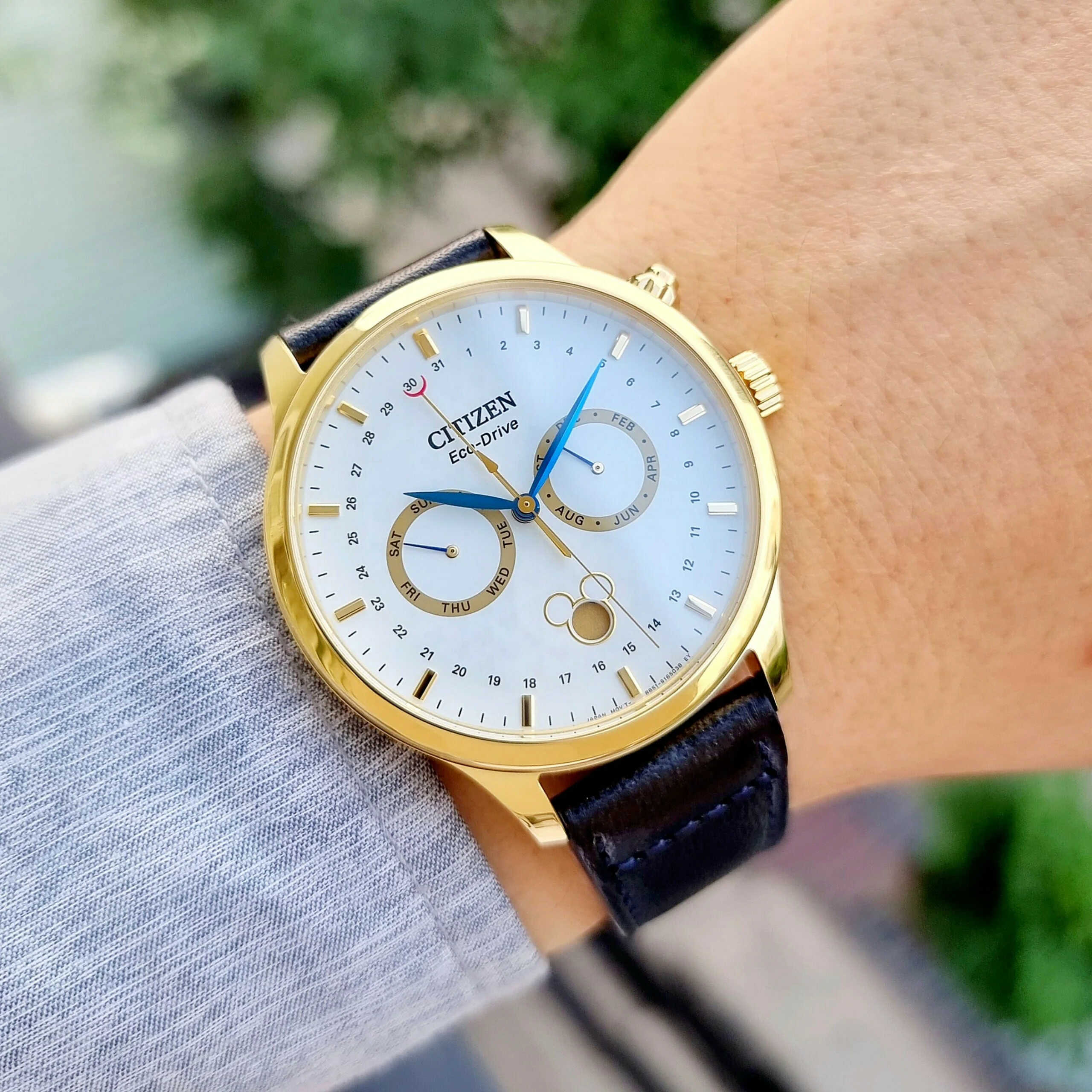 Hwatch