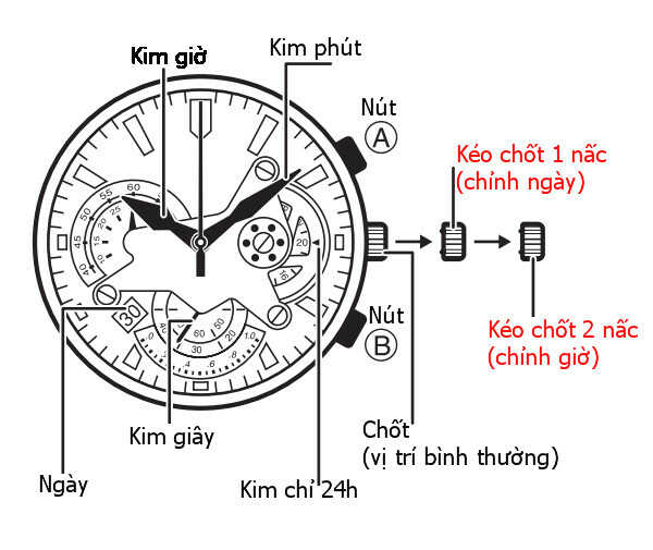 Hwatch