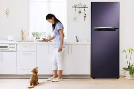 TIÊU CHÍ CHỌN MUA TỦ LẠNH CHỐNG CHỌI VỚI MÙA HÈ NÓNG BỨC