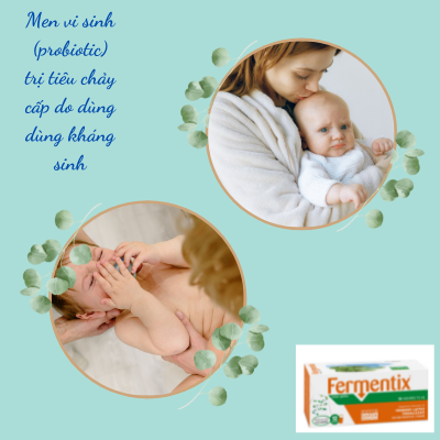 Men vi sinh (probiotic) trị tiêu chảy cấp do dùng dùng kháng sinh
