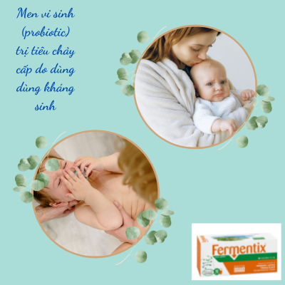 Men vi sinh (probiotic) trị tiêu chảy cấp  do dùng dùng kháng sinh