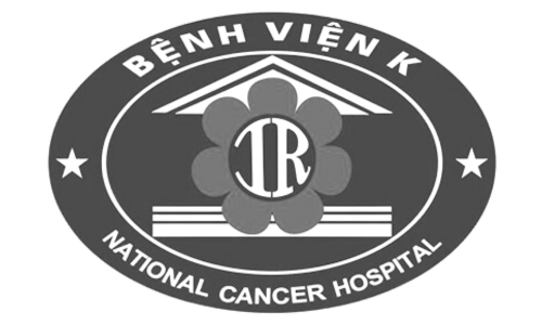 Logo bv2