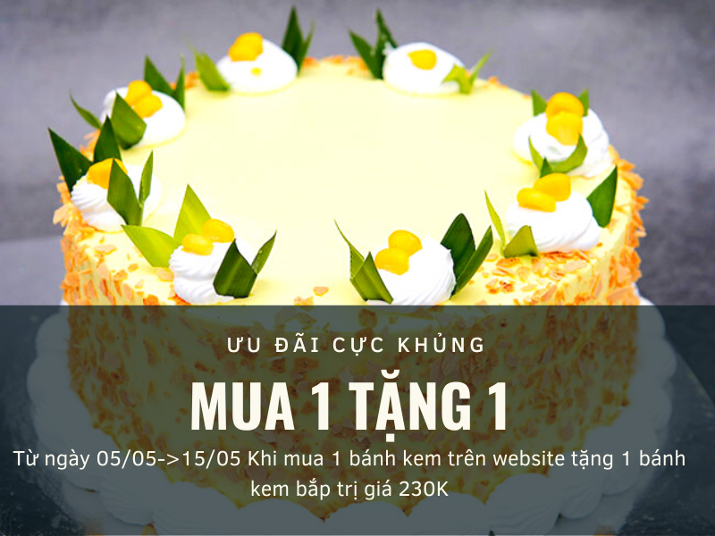 ƯU ĐÃI CỰC KHỦNG CHƯA TỪNG CÓ MUA 1 TẶNG 1