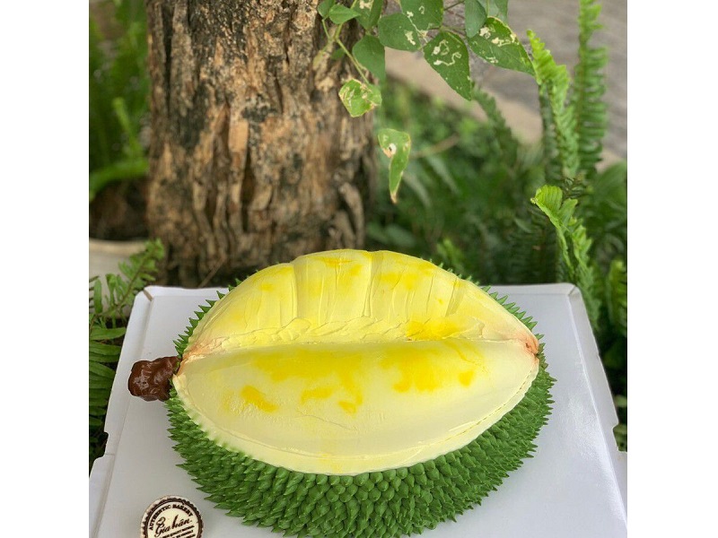 Đón sinh nhật với bánh kem độc lạ tại bánh Gia Hân tỉnh Bà Rịa Vũng Tàu