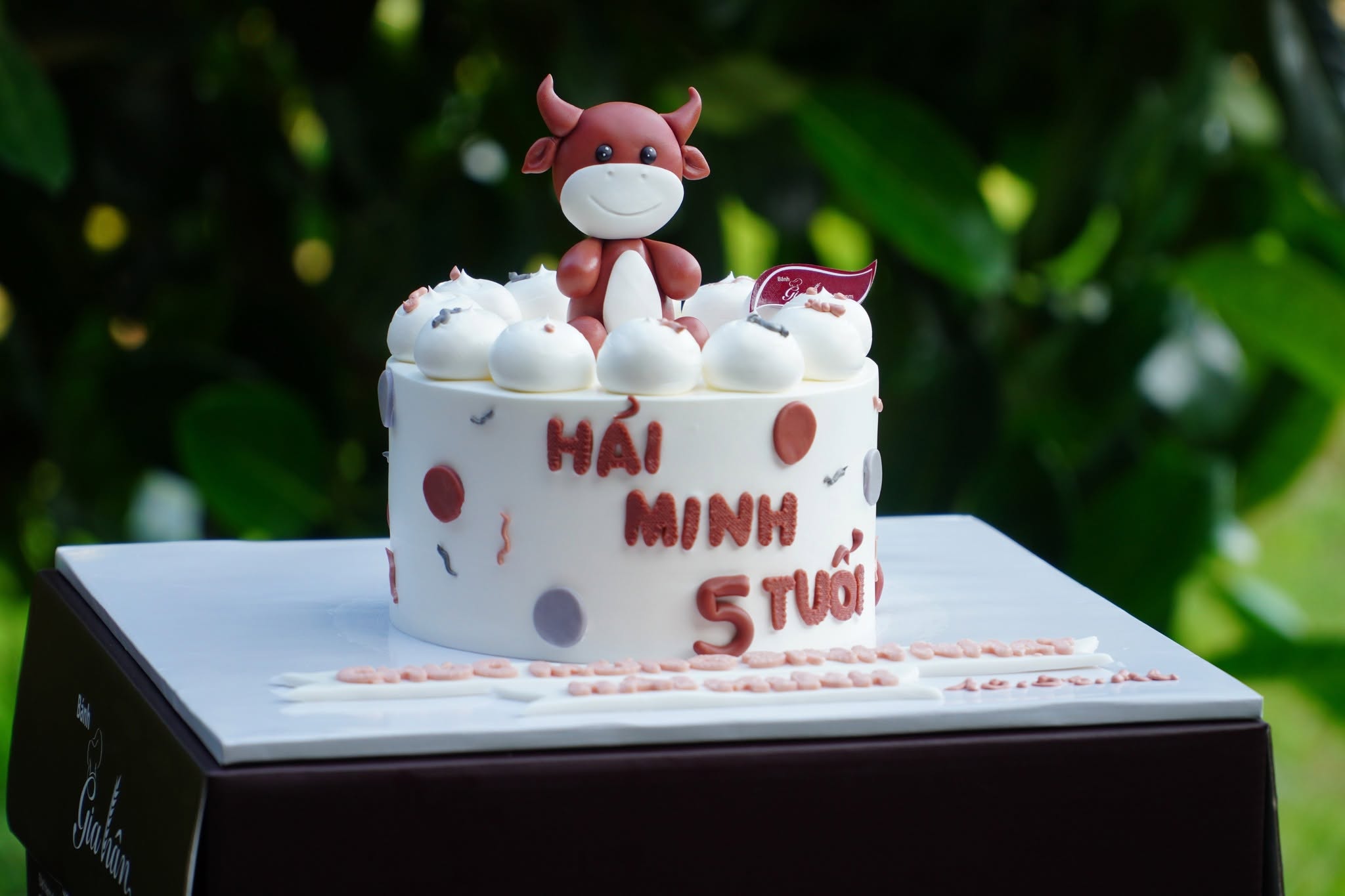Bánh Kem Fondant