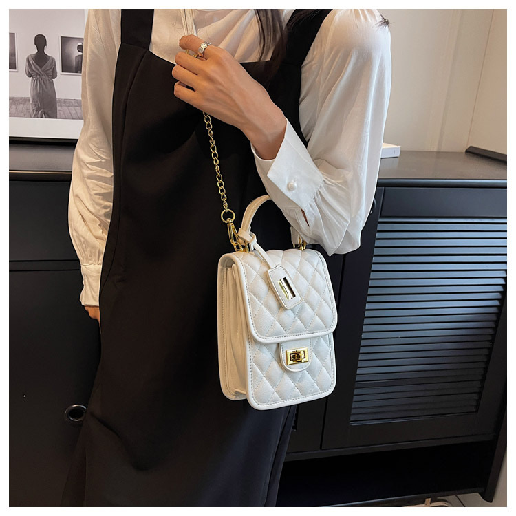 Túi Đeo Chéo Nữ Có Quai Xách - Giỏ Xách Đeo Vai Mona - tt230640