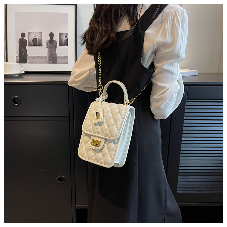 Túi Đeo Chéo Nữ Có Quai Xách - Giỏ Xách Đeo Vai Mona - tt230640