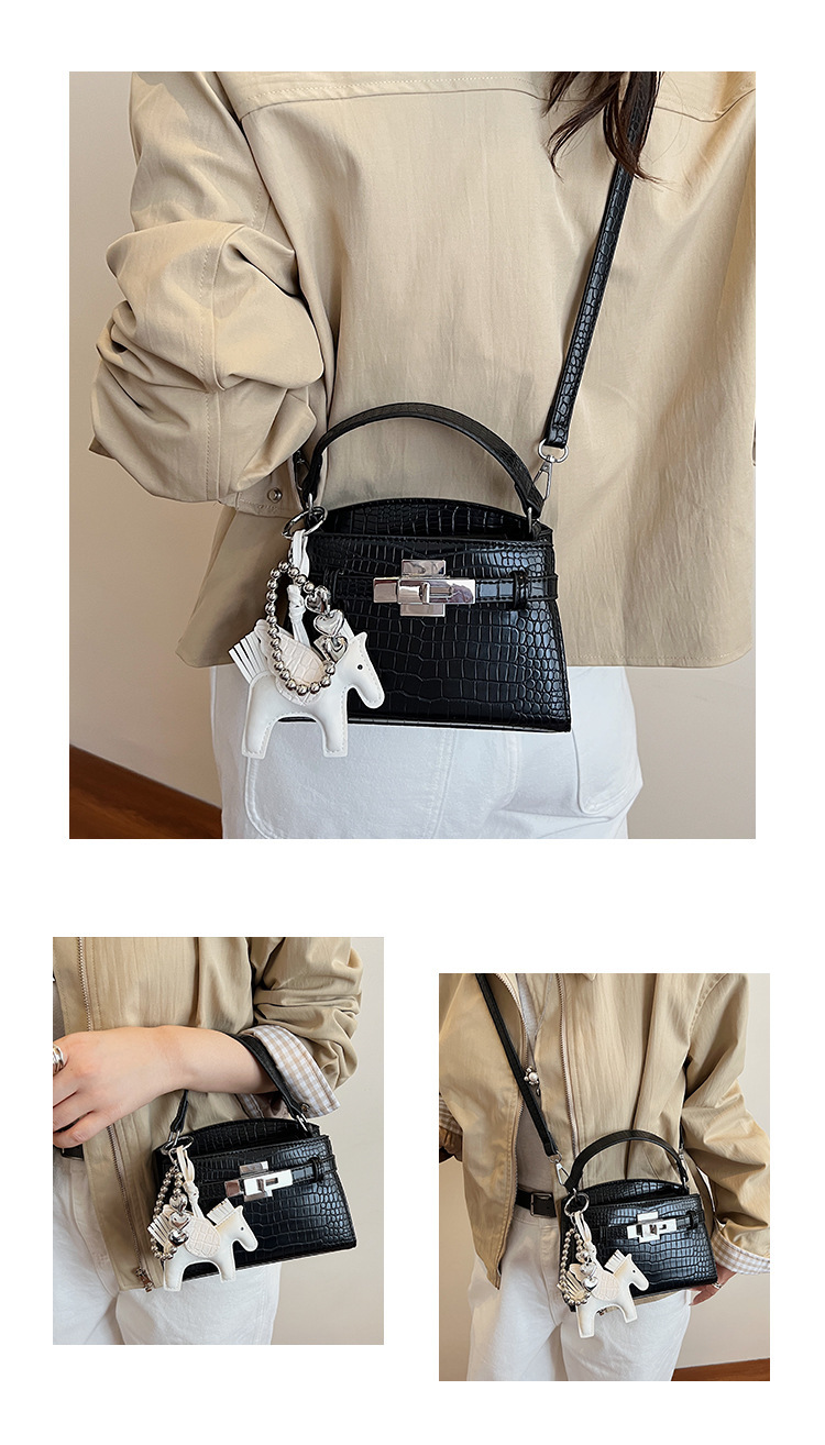 Túi Nhỏ Nhẹ Gọn Dễ Mang - tt251101