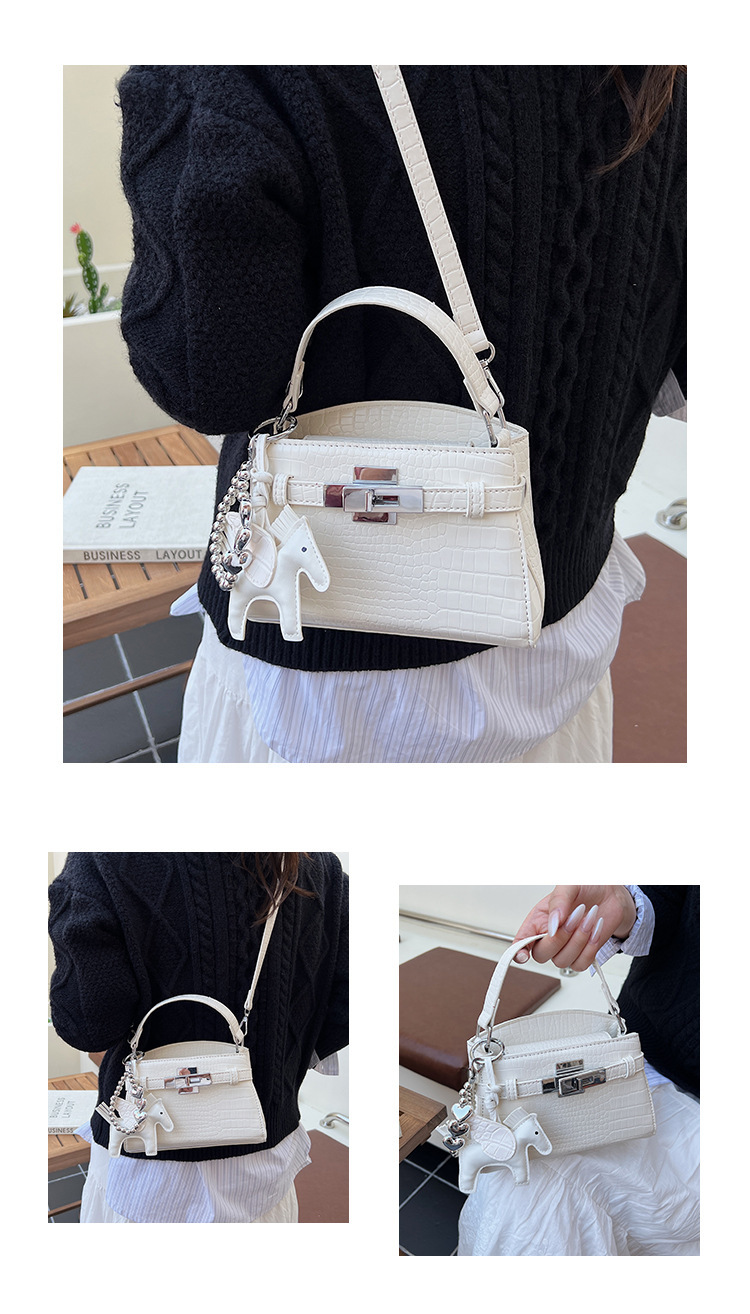 Túi Nhỏ Nhẹ Gọn Dễ Mang - tt251101