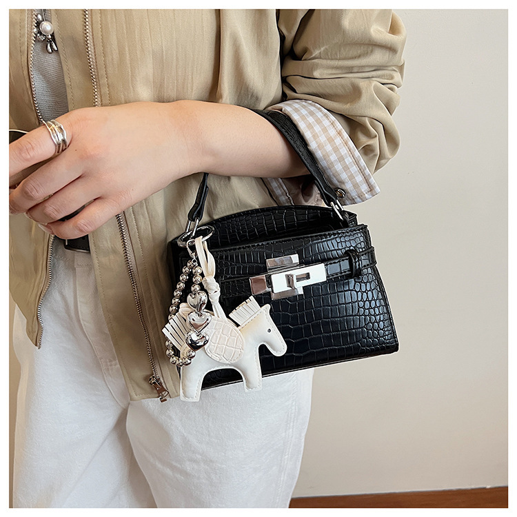 Túi Nhỏ Nhẹ Gọn Dễ Mang - tt251101