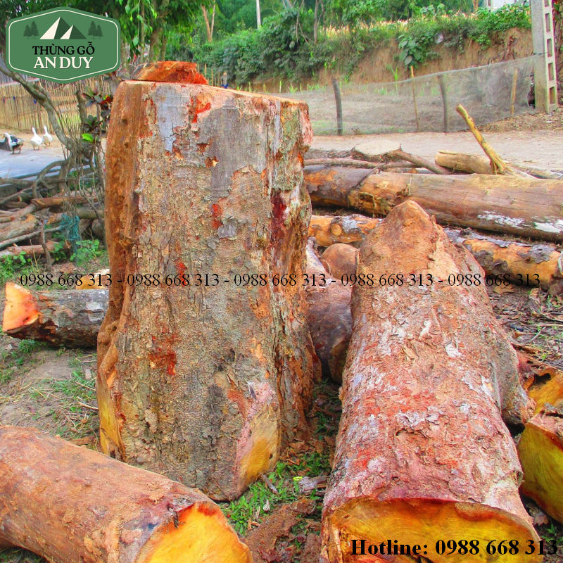 Vì Sao Gỗ Mít Thường Được Dùng Để Làm Trống
