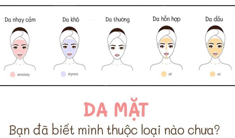 Bắt mạch làn da và bí quyết lựa chọn kem dưỡng ẩm phù hợp