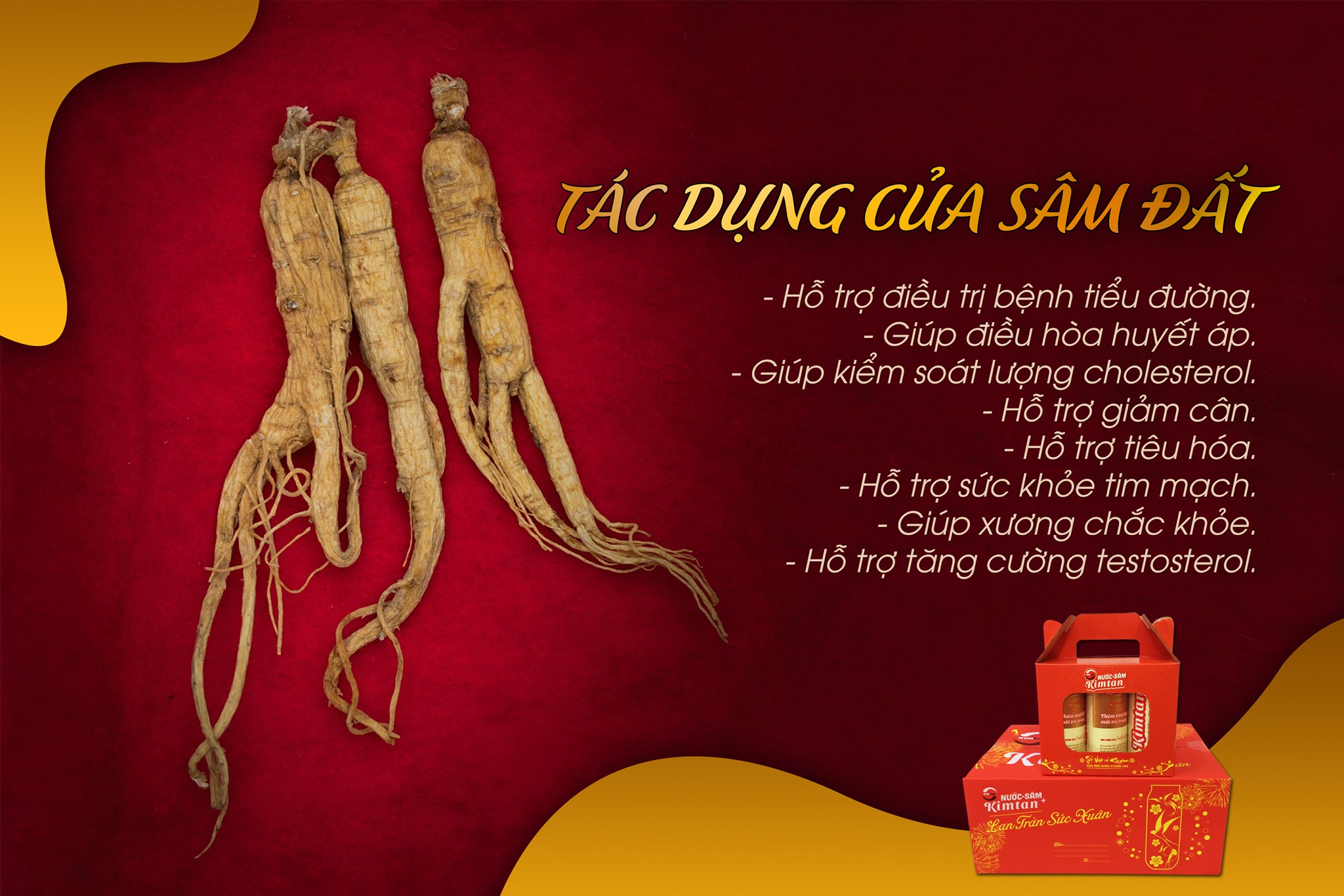 BẤT NGỜ NHỮNG TÁC DỤNG CỦA SÂM ĐẤT BẤT NGỜ NHỮNG TÁC DỤNG CỦA SÂM ĐẤT